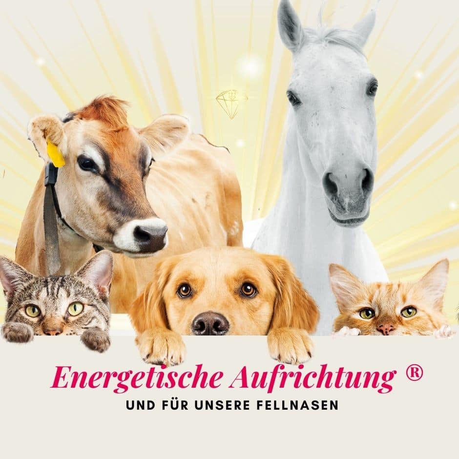 Cover-Energ-Aufr-Tiere