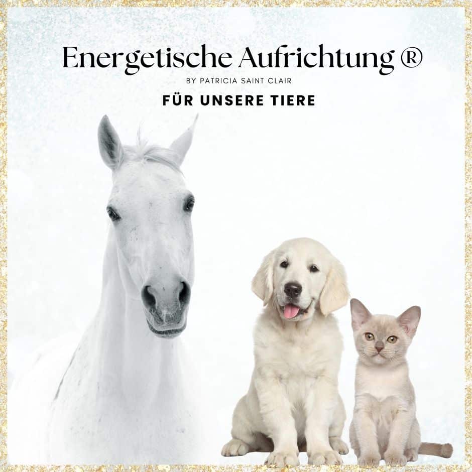Kopie von Cover_Energ.Aufrichtung_Tiere