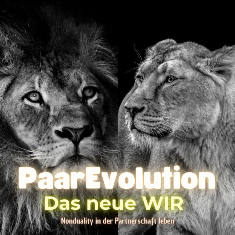 Cover_PaarEvolution
